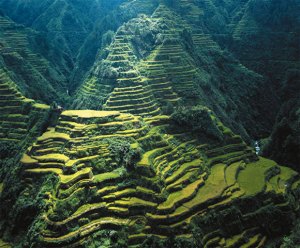 [imagetag] Banaue Rice Terraces di Filipina